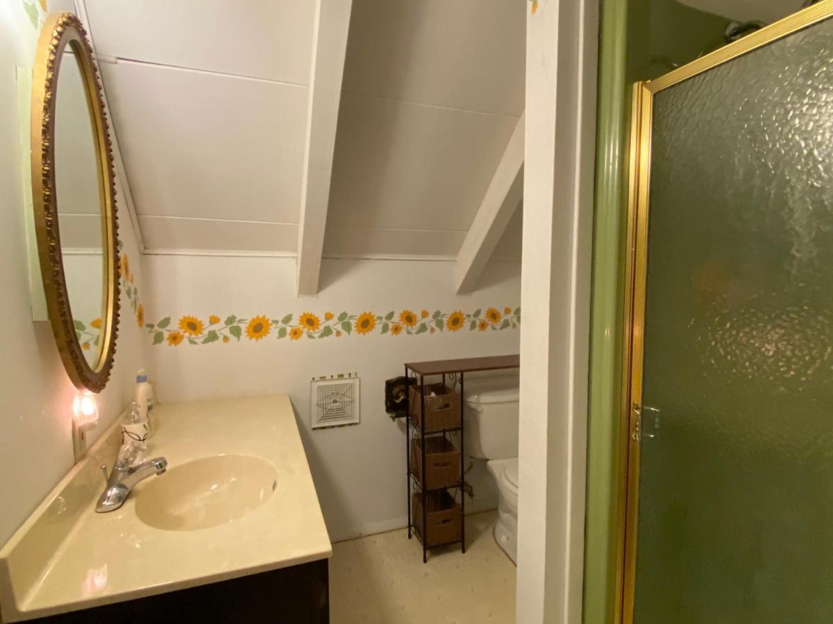 Secluded Chalet On Stream-Mins To Camelback Tannersville Luaran gambar