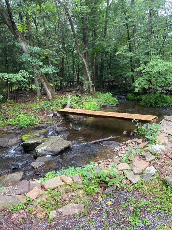 Secluded Chalet On Stream-Mins To Camelback Tannersville Luaran gambar